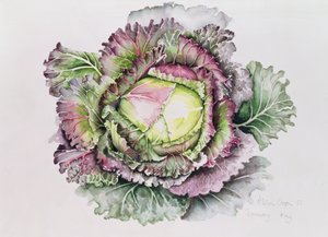 Cavolo di gennaio da Alison Cooper